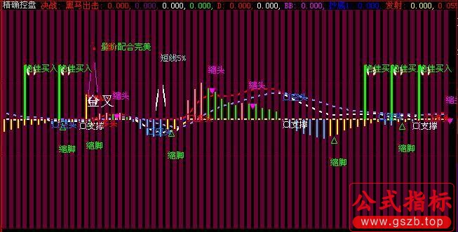 大智慧优化MACD精确控盘指标公式